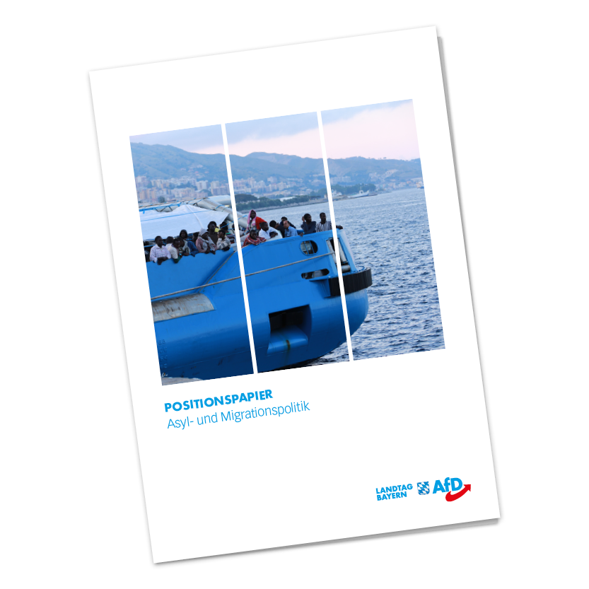 Positionspapier Migrationspolitik
