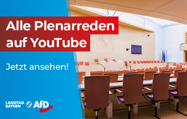 AfD Fraktion im Bayerischen Landtag 3 AfD auf YouTube