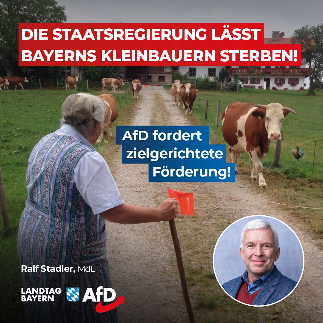 Ralf Stadler: Die Staatsregierung lässt Bayerns Kleinbauern sterben – AfD fordert zielgerichtete Förderung! 1 Bayern Kleinbauern