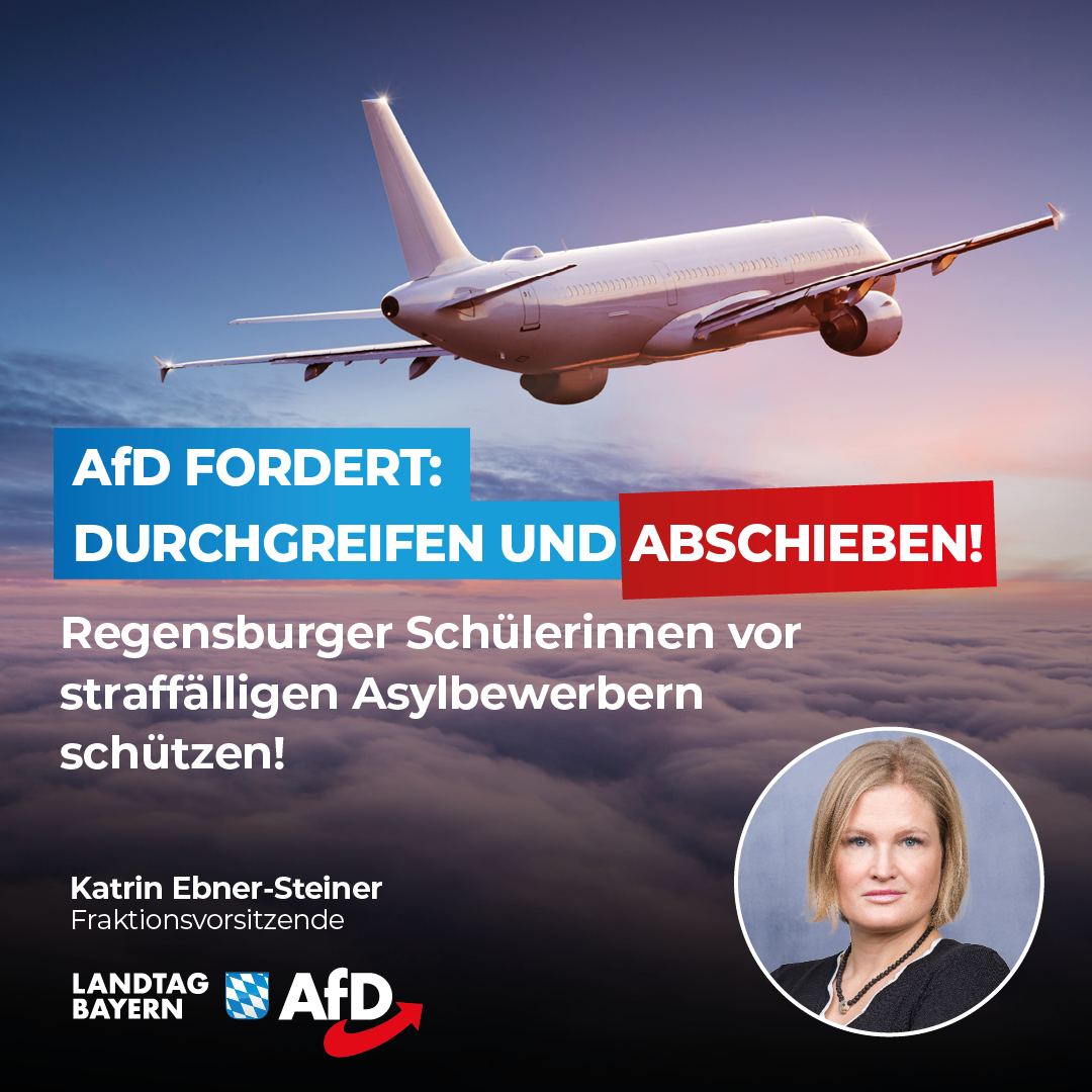Katrin Ebner-Steiner: AfD fordert: Durchgreifen und Abschieben – Regensburger Schülerinnen vor straffälligen Asylbewerbern schützen! 1 afd fordert durchgreifen und abschieben