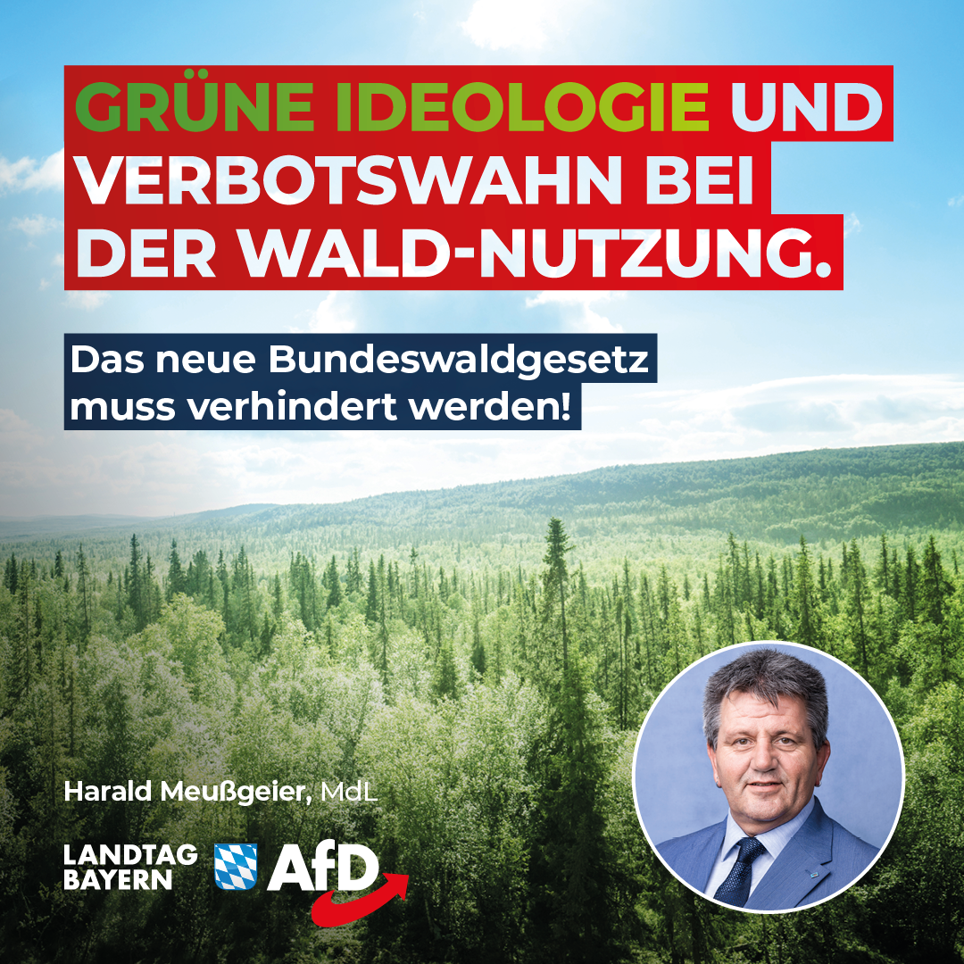 Harald Meußgeier: Grüne Ideologie und Verbotswahn bei der Wald-Nutzung – Das neue Bundeswaldgesetz muss verhindert werden! 1 20240304 Meussi Wald