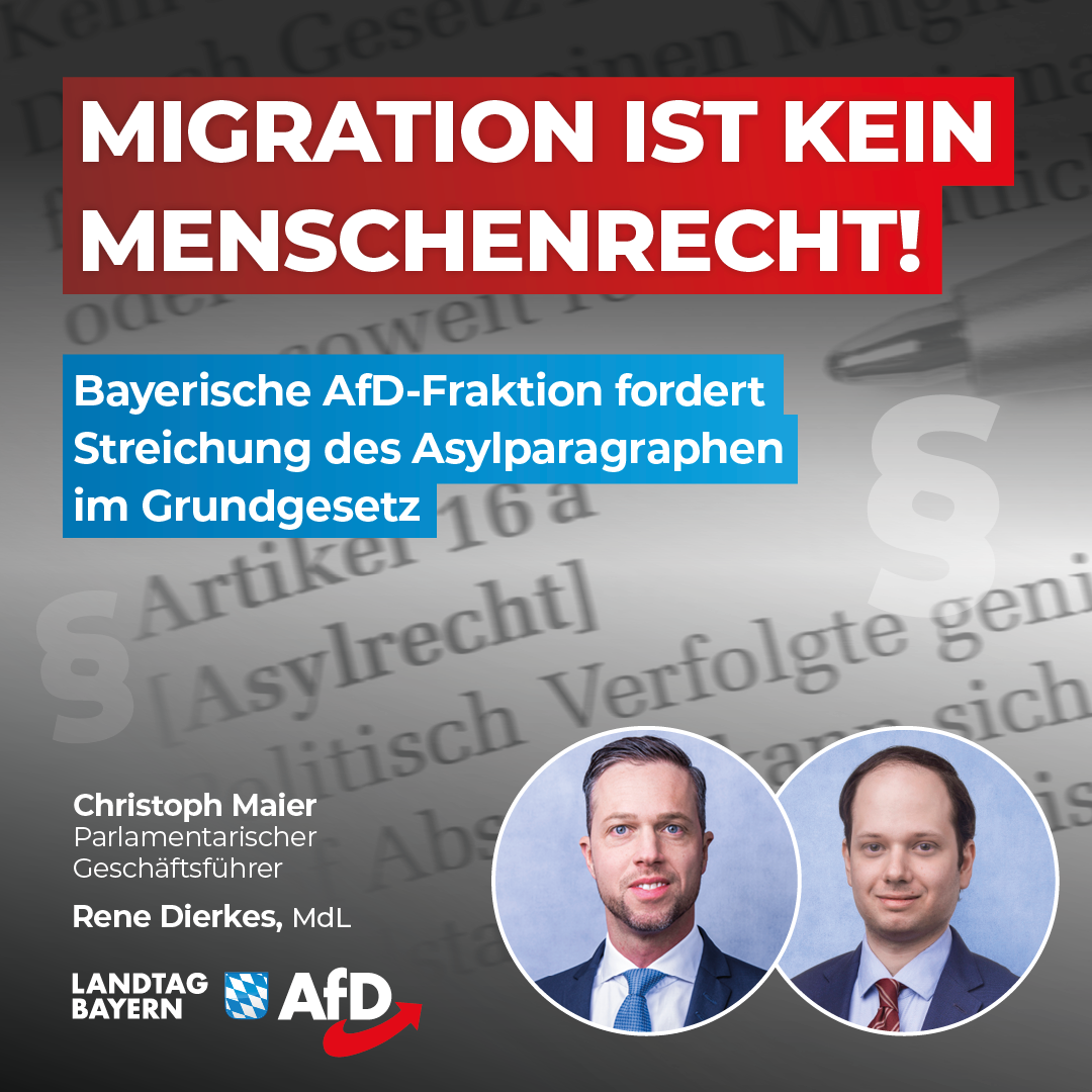 Christoph Maier / Rene Dierkes: Migration ist kein Menschenrecht! – Bayerische AfD-Fraktion fordert Streichung des Asylparagraphen im Grundgesetz 1 20240318 Maier Dierkes Asylrecht