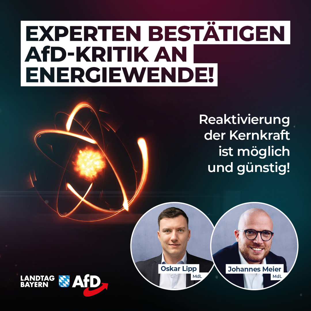 Oskar Lipp / Johannes Meier: Experten bestätigen AfD-Kritik an Energiewende – Reaktivierung der Kernkraft ist möglich und günstig! 1 20240517 2 Lipp Meier Energiewende