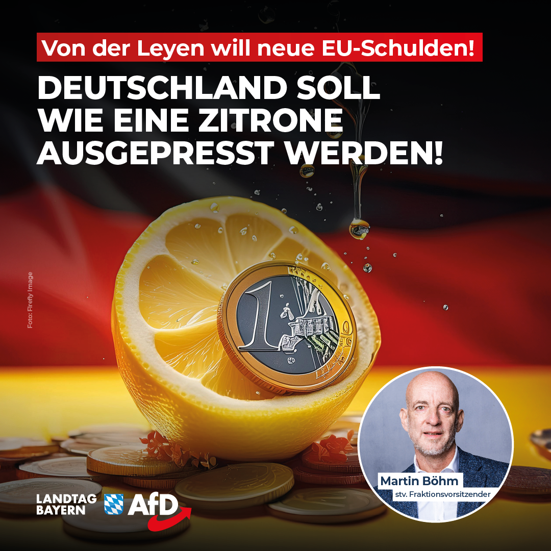 Martin Böhm: Von der Leyen will neue EU-Schulden – Deutschland soll wie eine Zitrone ausgepresst werden! 1 20240528 1 Boehm EU Schulden