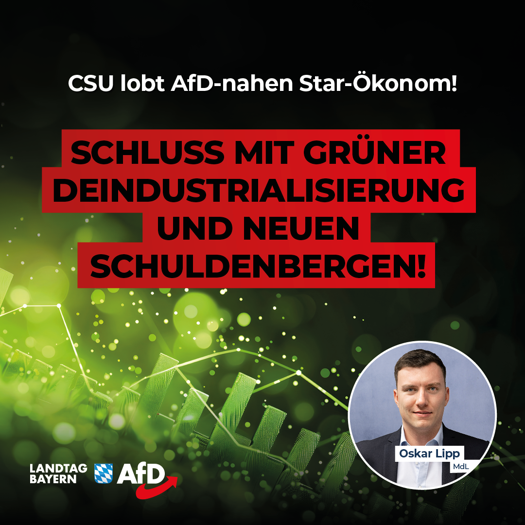 Oskar Lipp: Schluss mit grüner Deindustrialisierung und neuen Schuldenbergen! – CSU lobt AfD-nahen Star-Ökonom 1 20240621 Lipp Gruene Deindustrialisierung