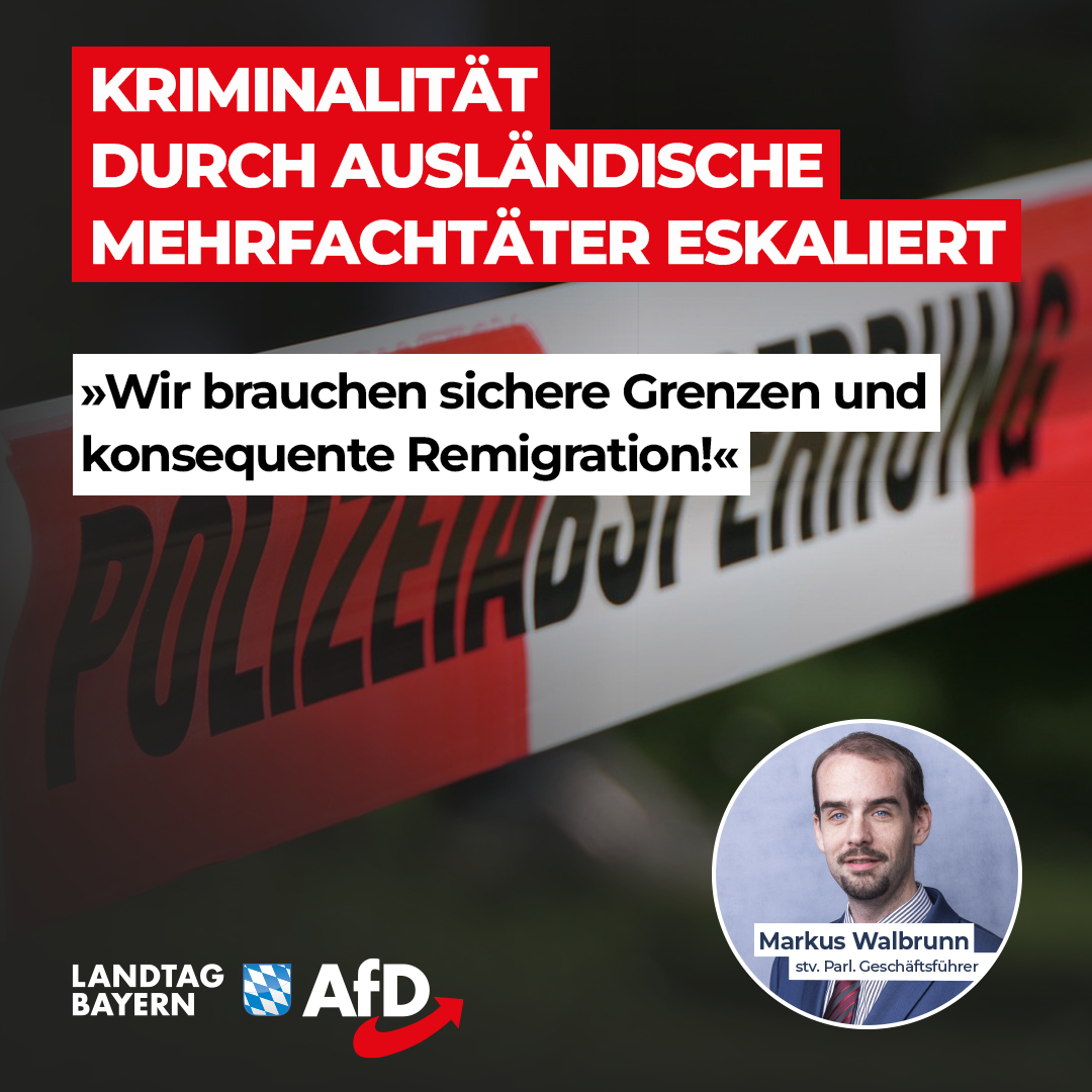 Markus Walbrunn: Kriminalität durch ausländische Mehrfachtäter eskaliert – Wir brauchen sichere Grenzen und konsequente Remigration 1 Wir brauchen sichere Grenzen