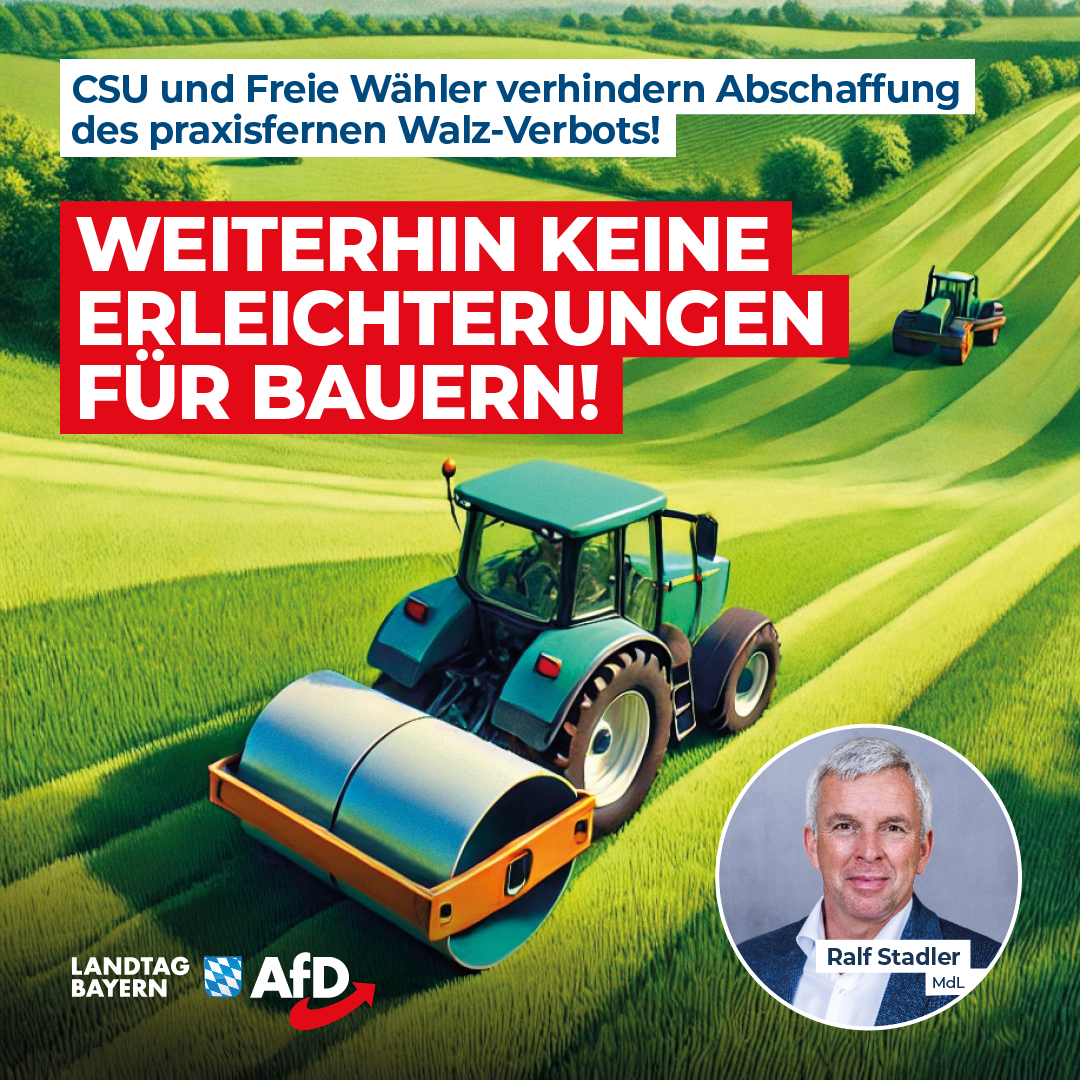 Ralf Stadler: CSU und Freie Wähler verhindern Abschaffung des praxisfernen Walz-Verbots – Weiterhin keine Erleichterungen für Bauern! 1 20241010 Stadler Walz Verbot