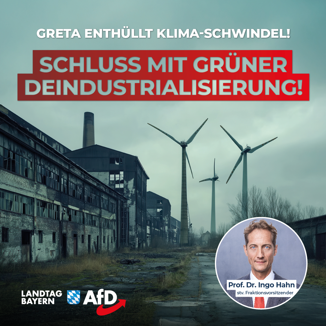 Ingo Hahn: Klima-Konferenz laut Greta Thunberg reines „Greenwashing“ – Schluss mit grüner Deindustrialisierung! 1 20241114 Schluss mit gruener Deindustrialisierung