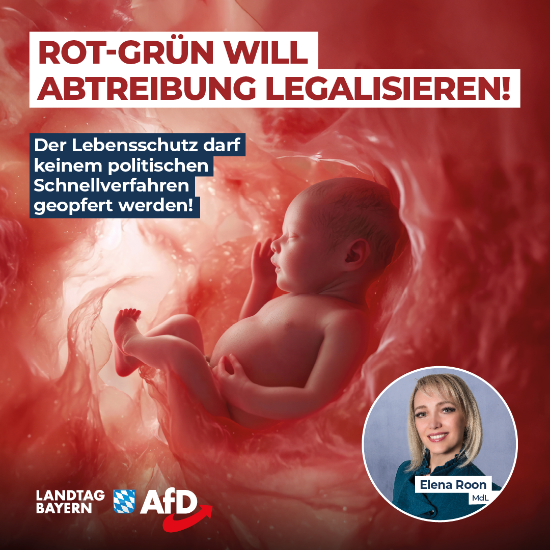 Elena Roon: Rot-Grün will § 218 vor der Bundestagswahl streichen – Der Lebensschutz darf keinem politischen Schnellverfahren geopfert werden! 1 20241125 Roon Rot Gruen will Paragraf 218 streichen